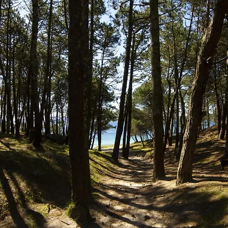 ヴィラ Apartment In Cangas Near Playa De Barra