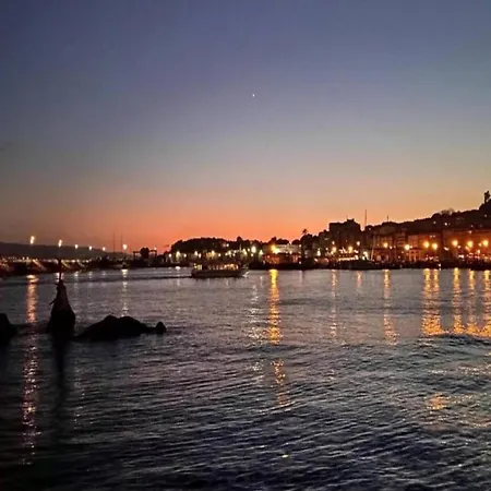 فيلة In Near Playa De Barra